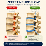 Appareil de massage des tissus profonds NeuroFlow à 3 zones
